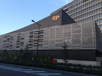 Zepp